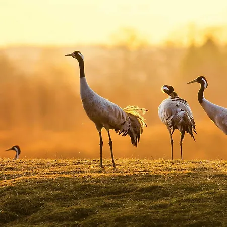 Hafenblick - In Der Hafenresidenz Mit Balkon & Wasserblick * Waren (Mueritz)